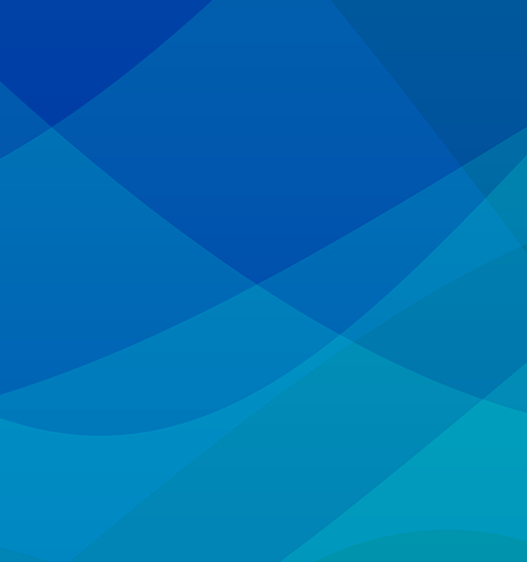 THE RELIABLE SOURCING PLATFPRM